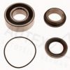 FIAT 4438573 Wheel Bearing Kit